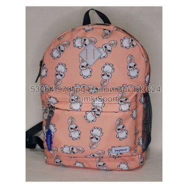 Рюкзак молодежный 17 л Bagland 533664 (970)