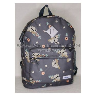 Рюкзак молодежный 17 л Bagland 533664 (977)