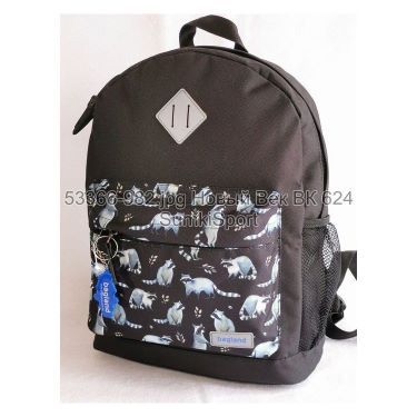 Рюкзак молодежный 17 л Bagland 533662 (982)