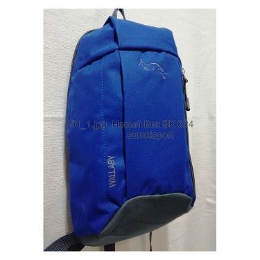 Рюкзак молодежный Wallaby 151 (10)