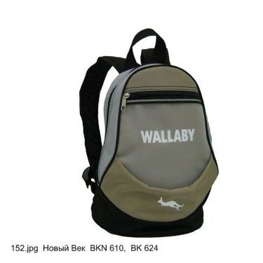 Рюкзак молодежный Wallaby 152 (30)